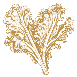 El-Mövenschiss-Grünkohl-Karte